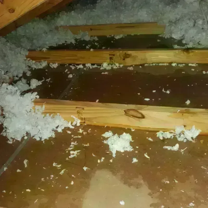 Attic Water Damage in Coalgate, OK